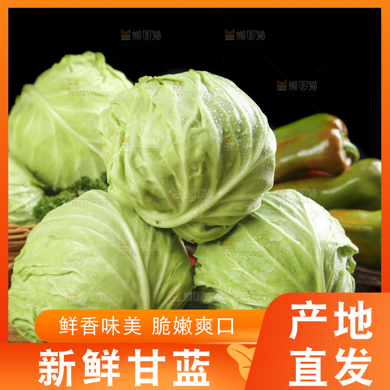 黑石板上的卷心菜