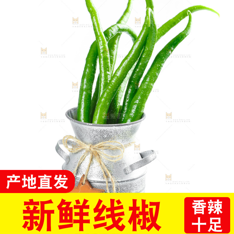白底上放着二荆条辣椒
