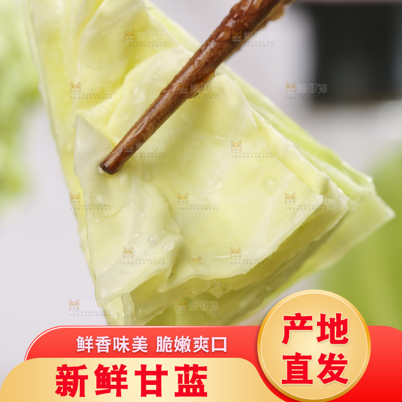 手里拿着洋白菜