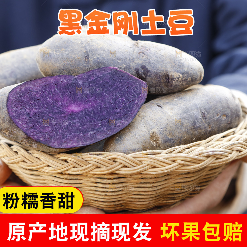 手里拿着农家紫土豆