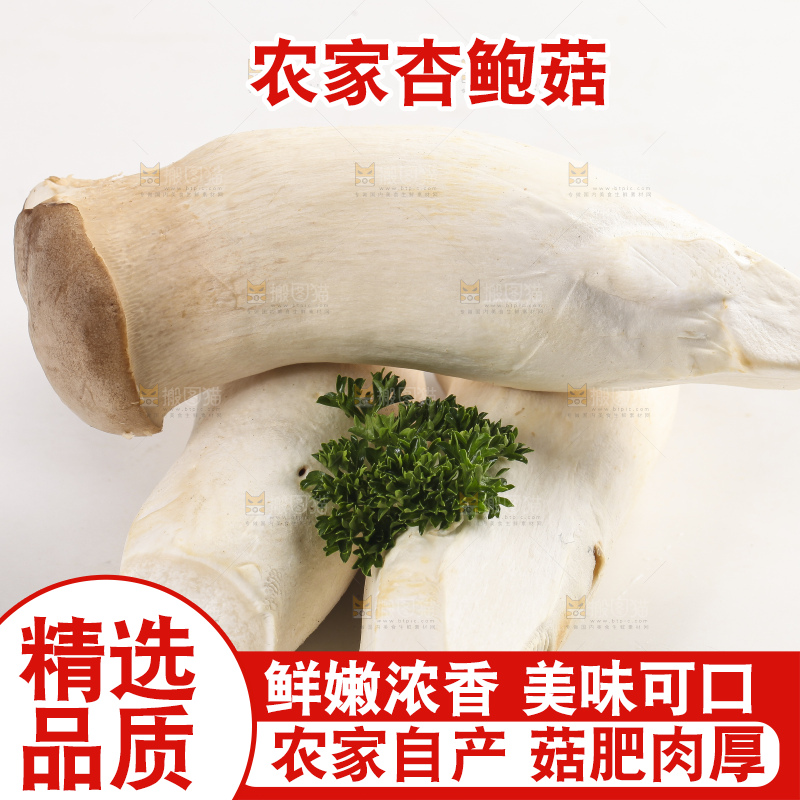 白底上放着新鲜杏鲍菇
