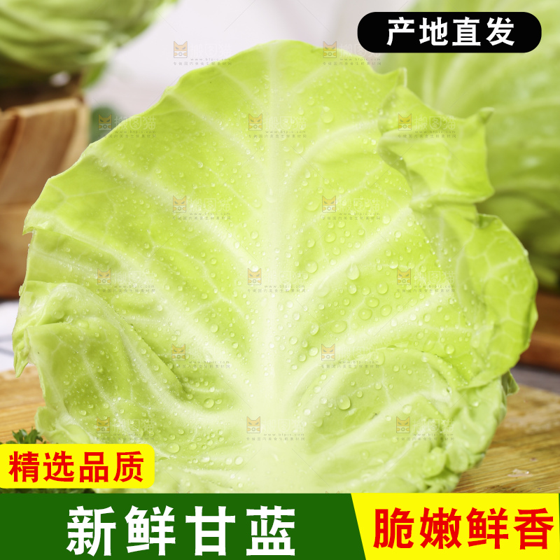 木板上放着绿甘蓝