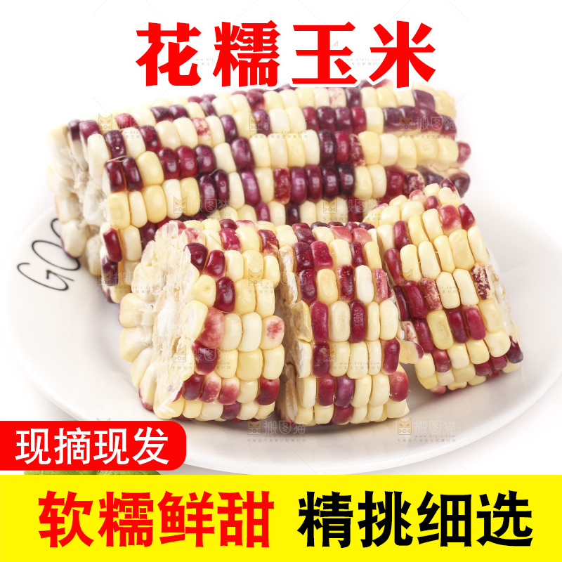 白底上放着一盘糯玉米