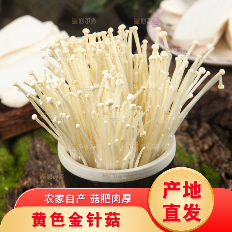 杯子里装着新鲜金针菇