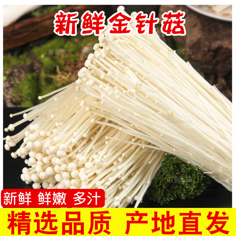 黑石板上的金针菇