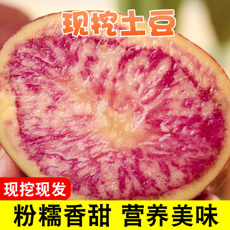 手里拿着彩色土豆