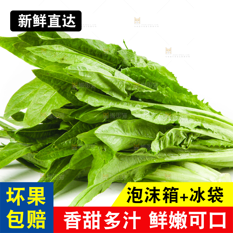 白底上的香麦菜