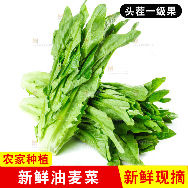 白底上放着油麦菜