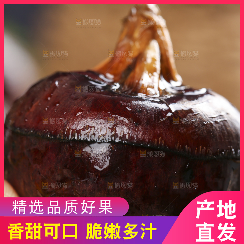 手里拿着菩荠