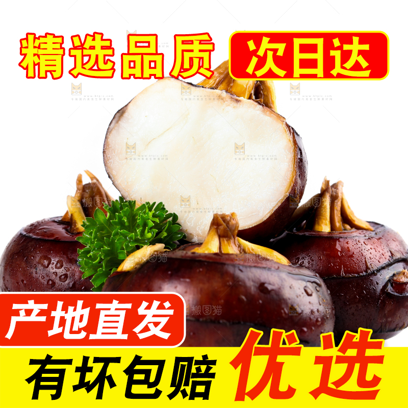 白底上摆放着乐昌北乡马蹄