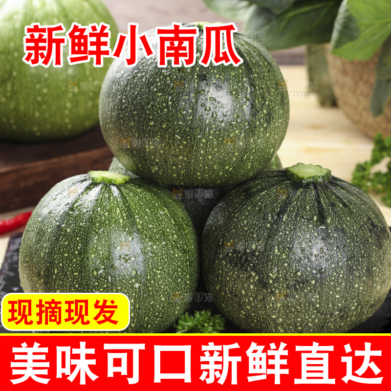 黑石板上放着花皮小南瓜