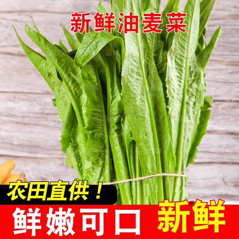 白格子底上放着新鲜油麦菜