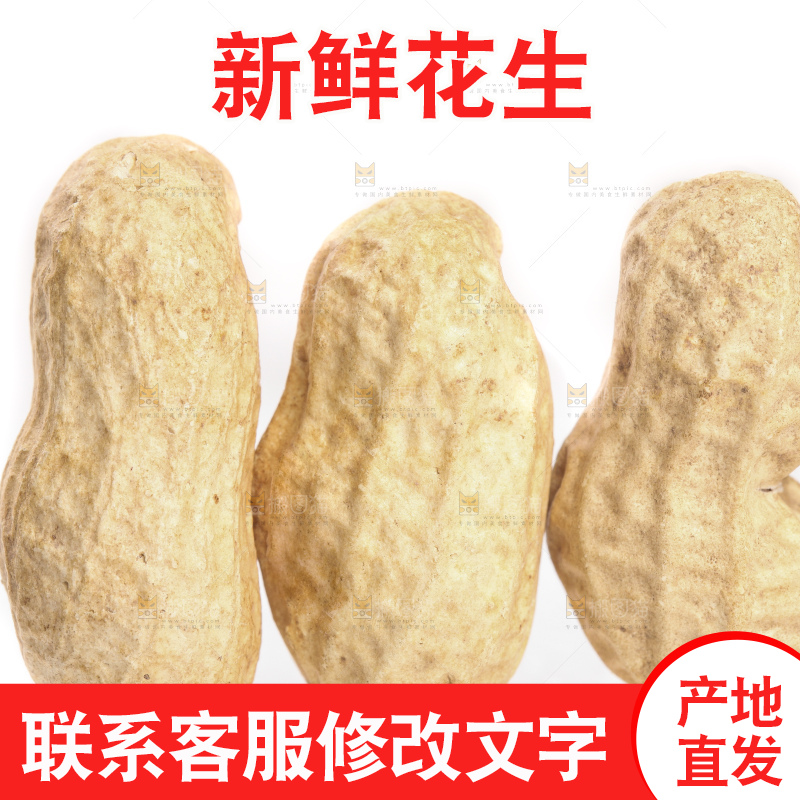 白底上的黑皮花生