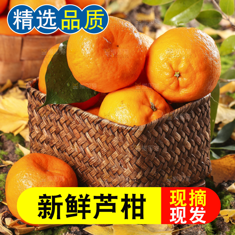 篮子里装着新鲜芦柑