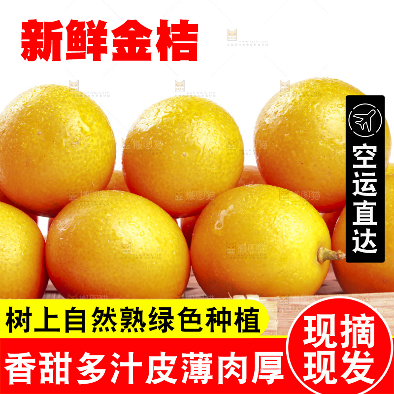 白底上的阳朔脆皮金桔