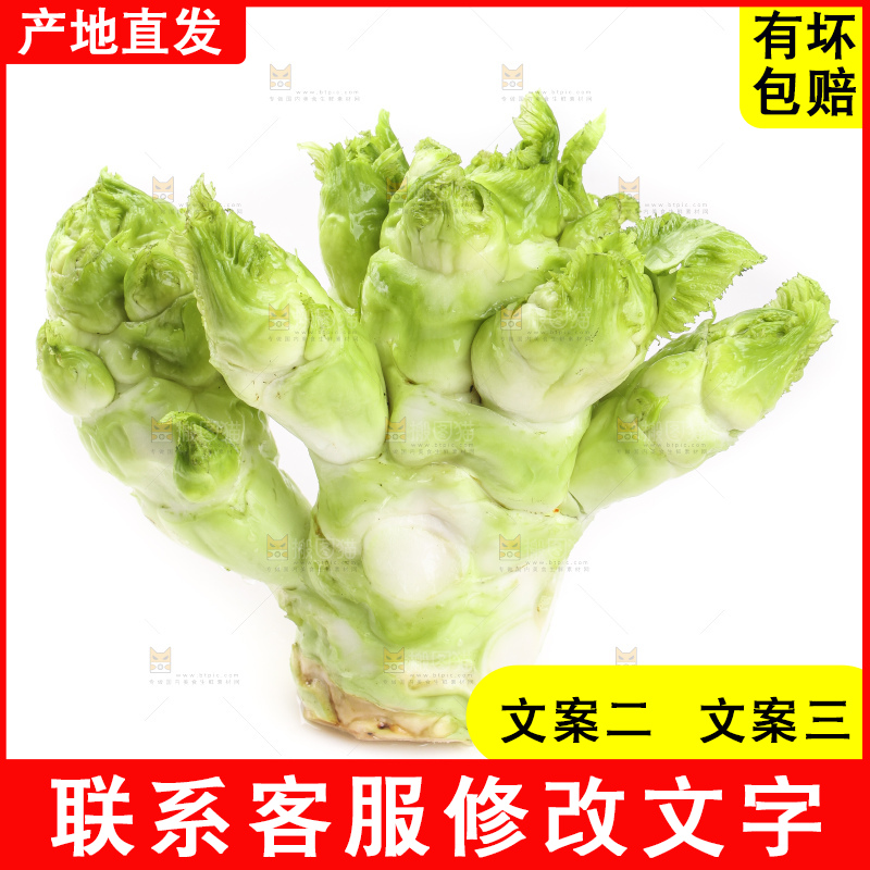 白底上的大头菜疙瘩