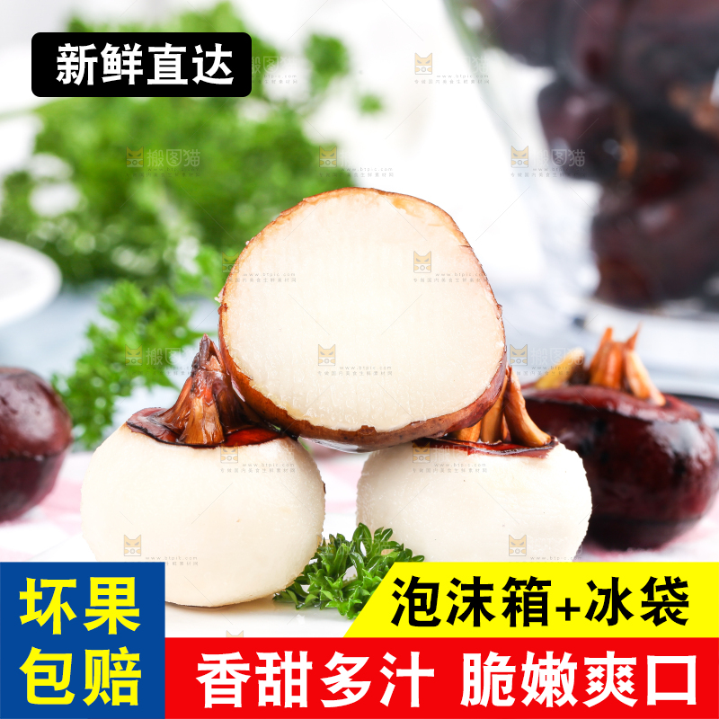 彩底上放着红马蹄