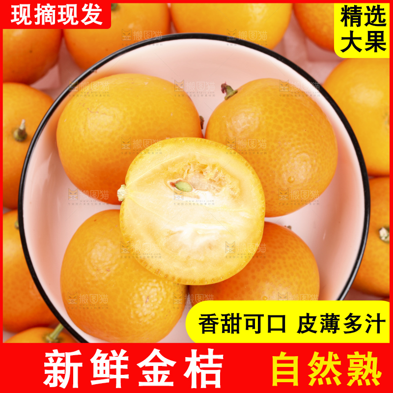 白底上的阳朔脆皮金桔