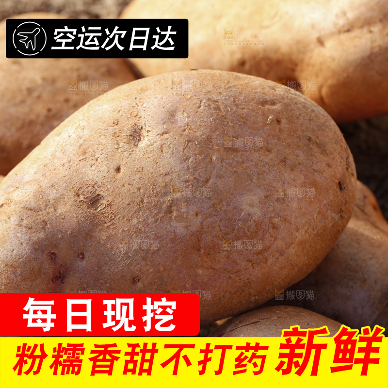 沙地里的彩色土豆