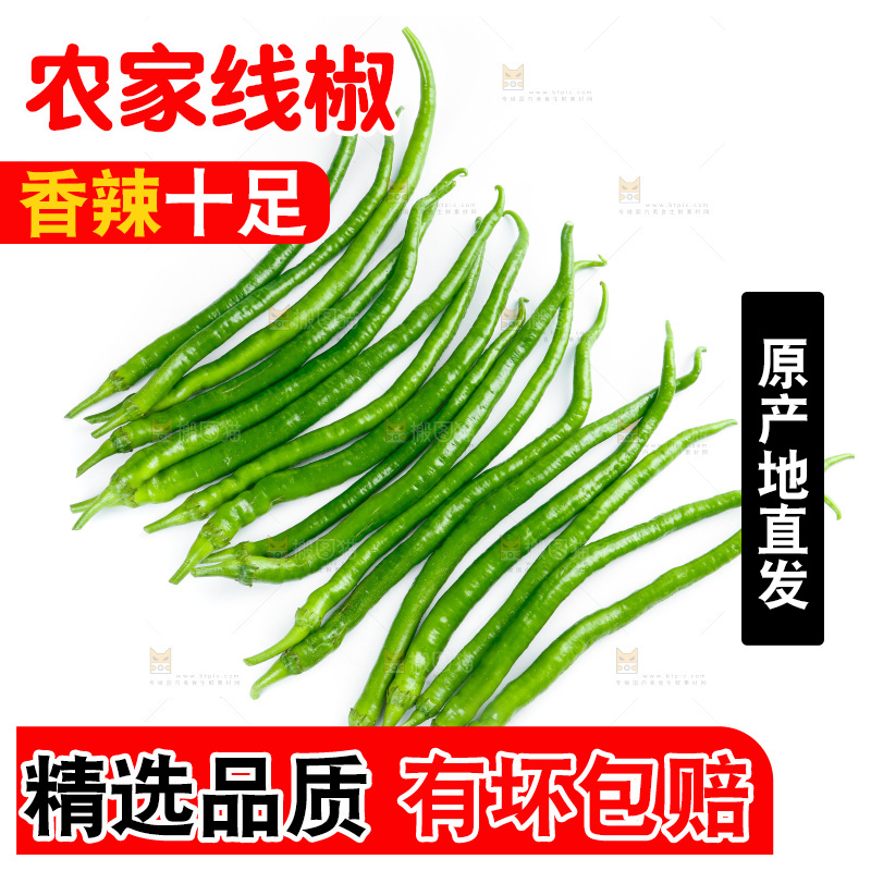 白底上放着二荆条辣椒