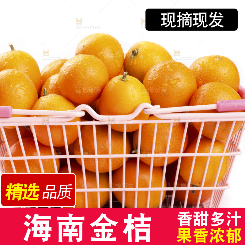 白带上放着一篮子桂林脆皮金桔