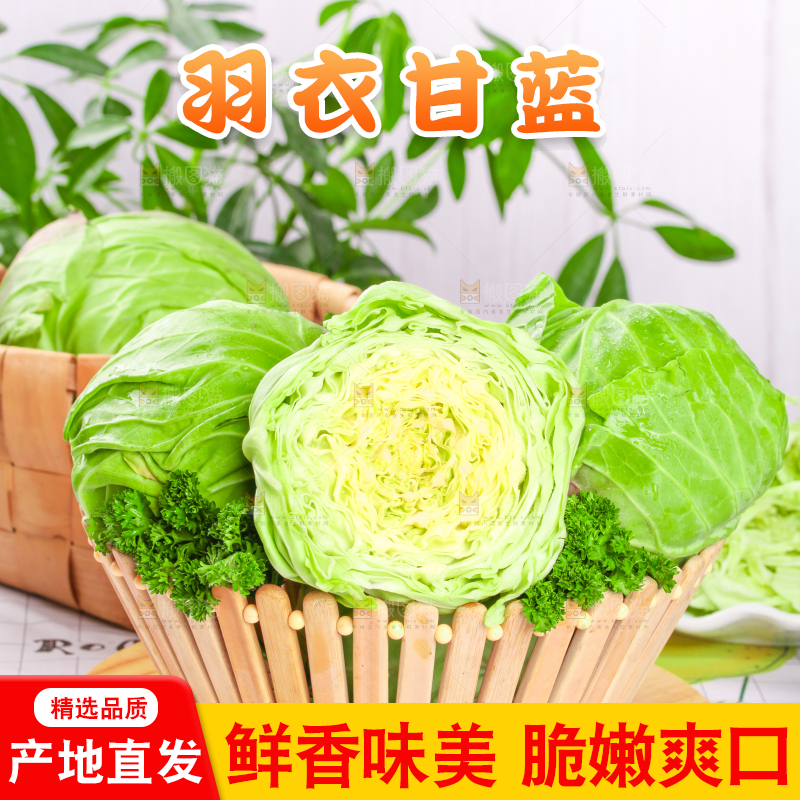 篮子里装着甘蓝包菜