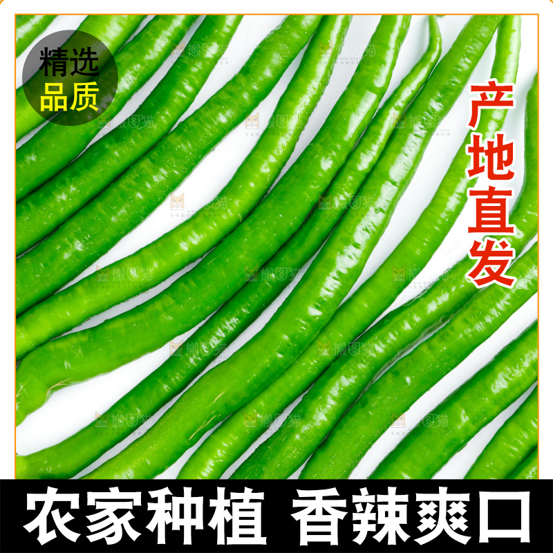 白底上放着二荆条辣椒