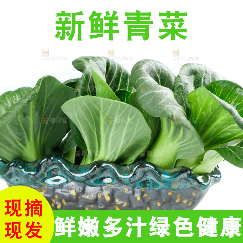 白底上的绿叶菜