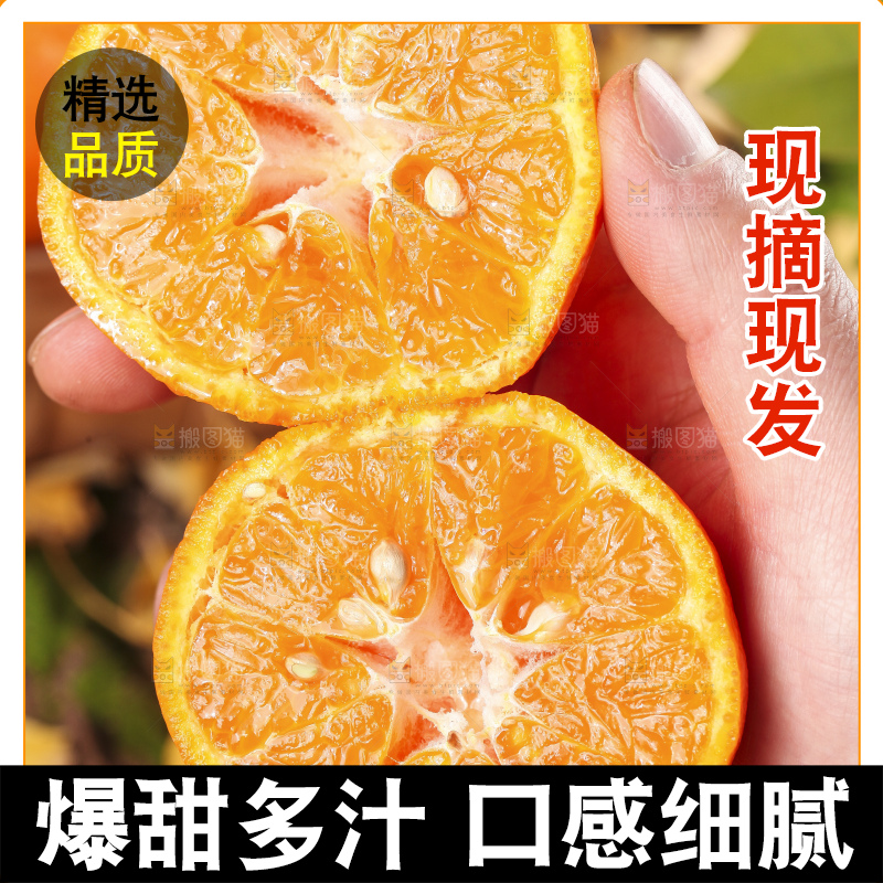 黑石板上的云南椪柑