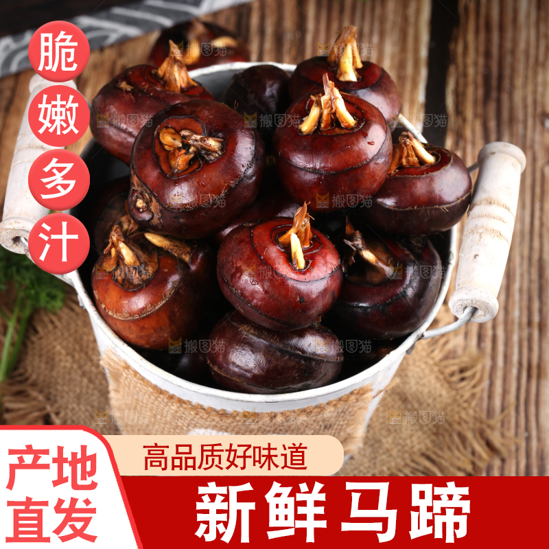 桶子里装着菩荠