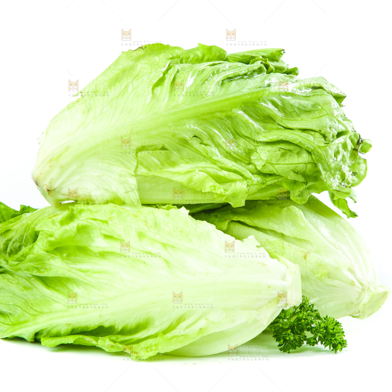 白底上的生菜