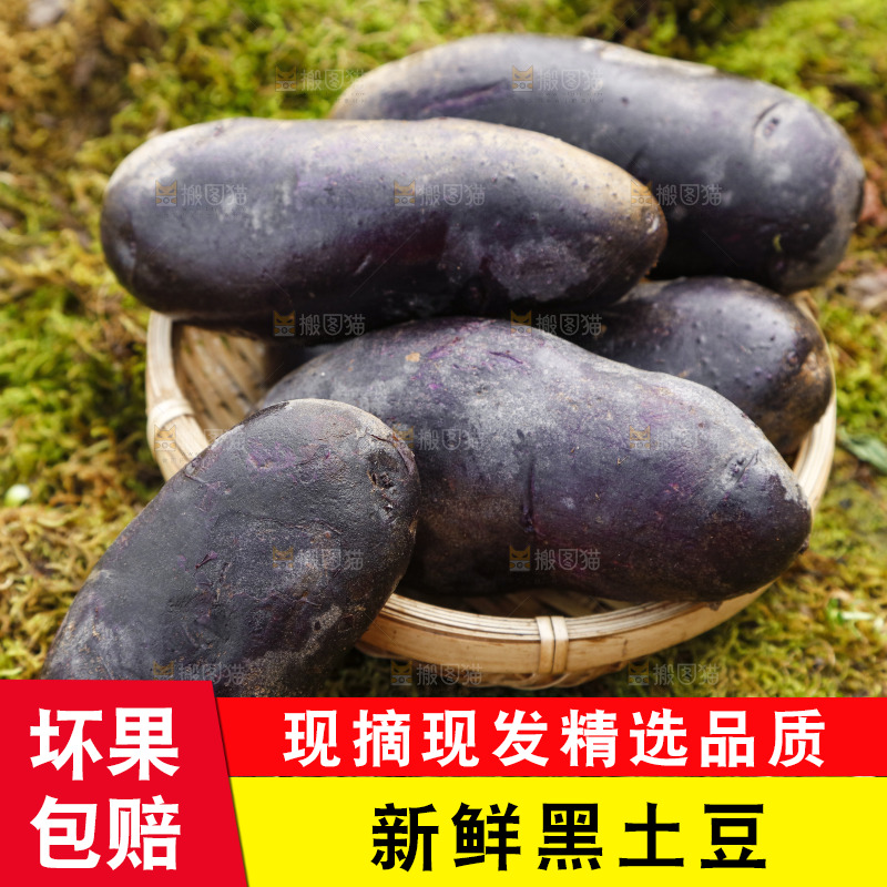 篮子里装青海黑土豆