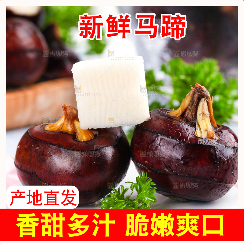 彩底上的马蹄果