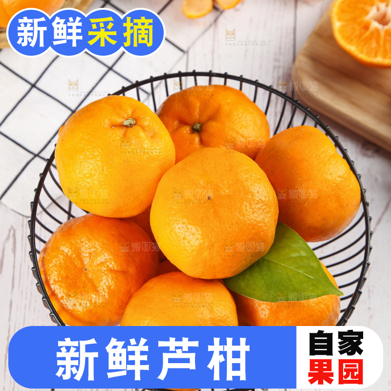篮子里装着新鲜芦柑