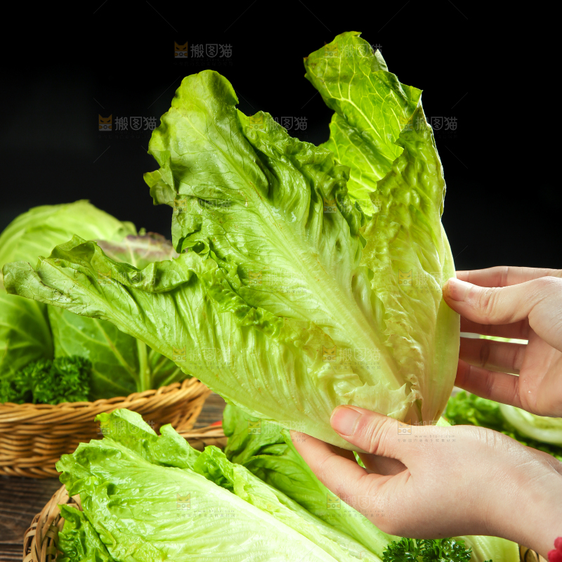 篮子里装着四季玻璃生菜
