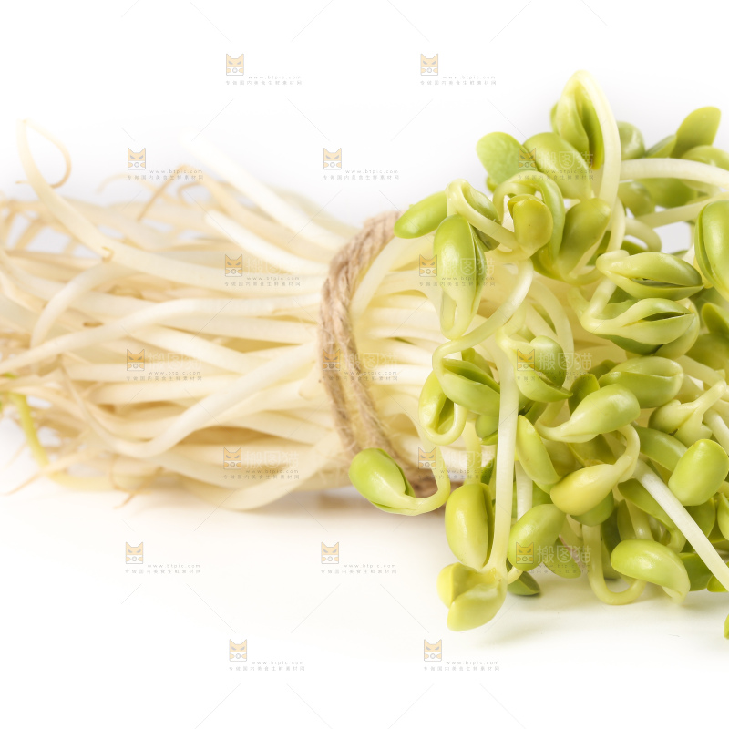 白底上的豆芽