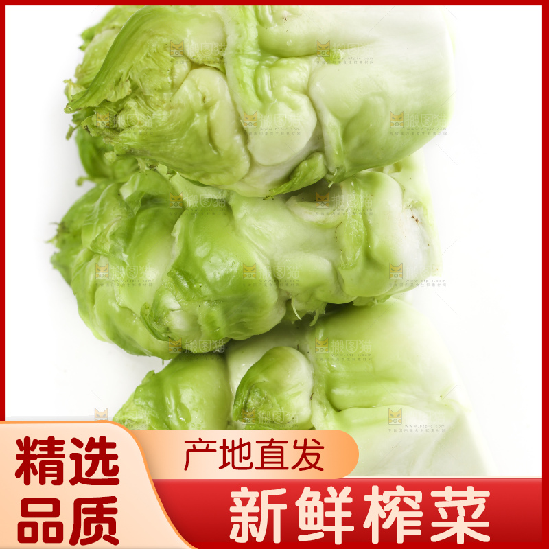 白底上的光头菜