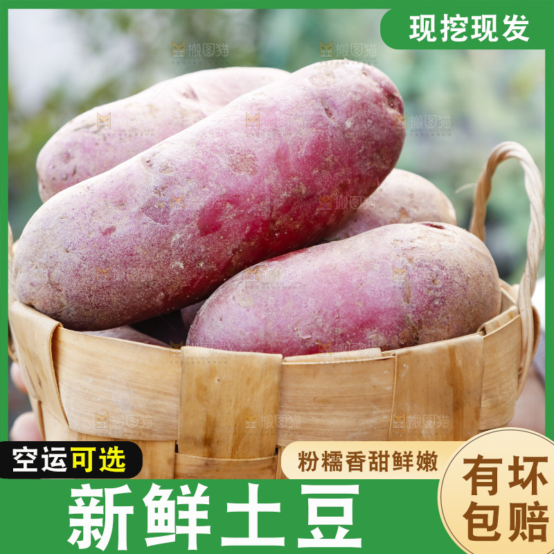手里拿着新鲜红土豆