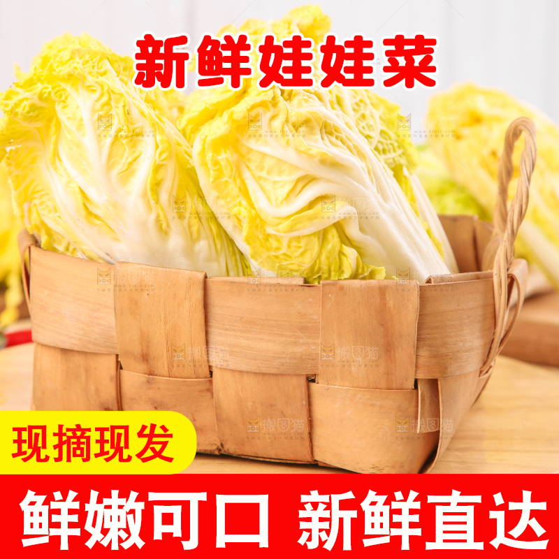 篮子里的湖北娃娃菜