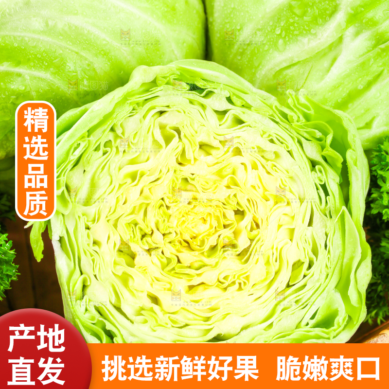 黑底上放着绿甘蓝