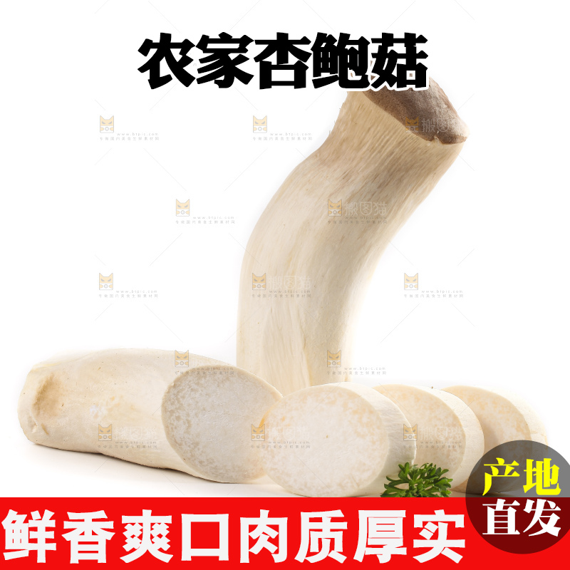 白底上放着大鸡腿菇