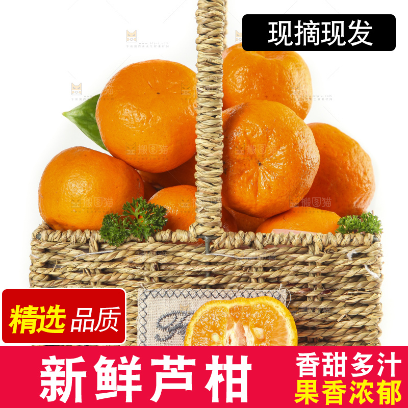 篮子里装着新鲜芦柑