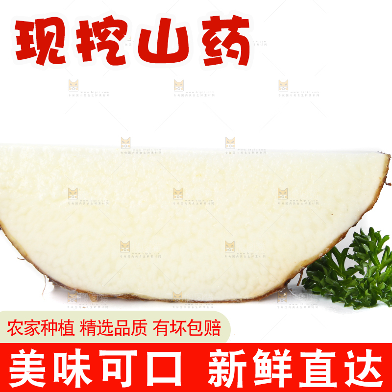 白底上的糯米金秤砣山药