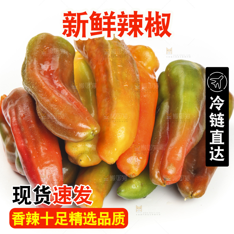 白底上的彩色辣椒