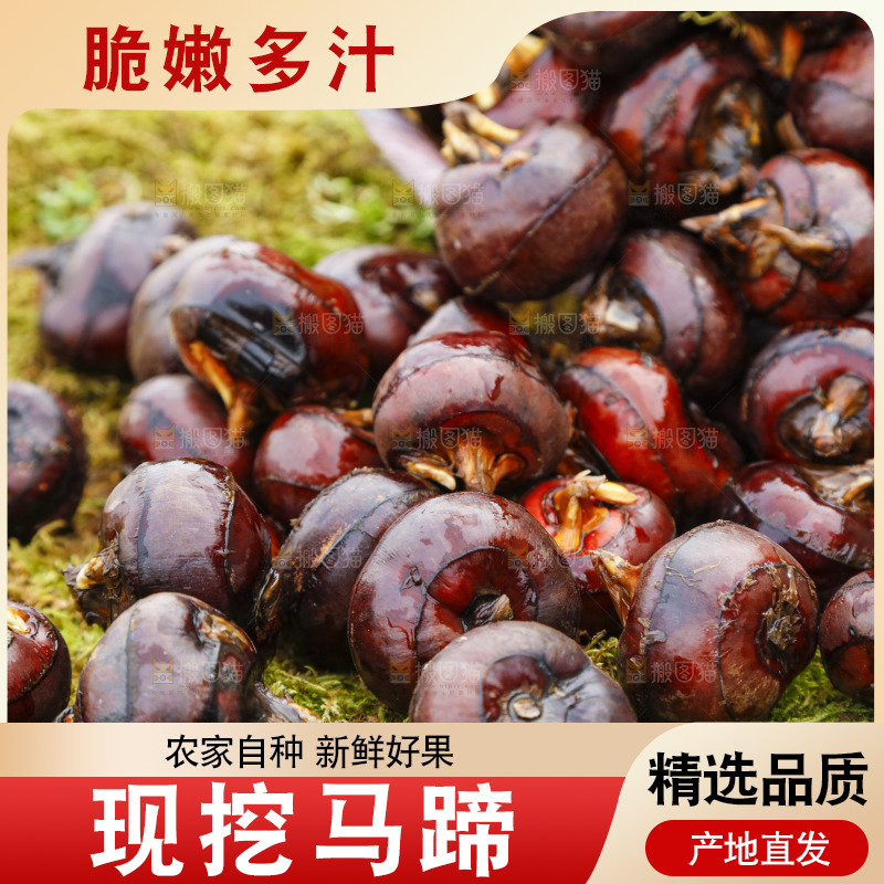篮子里装着广西马蹄