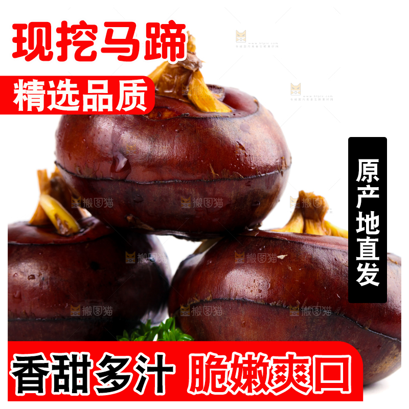 白底上摆放着乐昌北乡马蹄