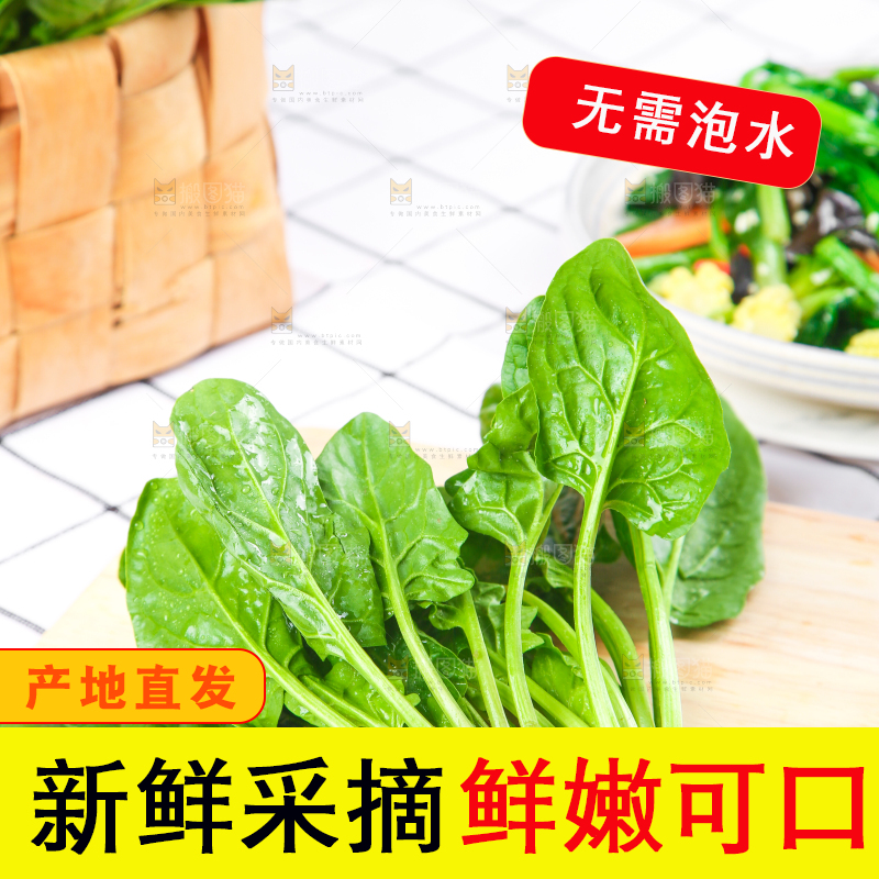 白格子底上的嫩菠菜