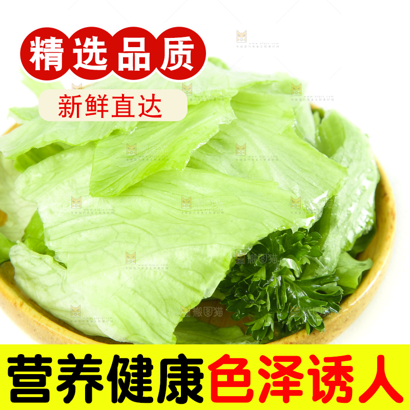 白底上的新鲜生菜