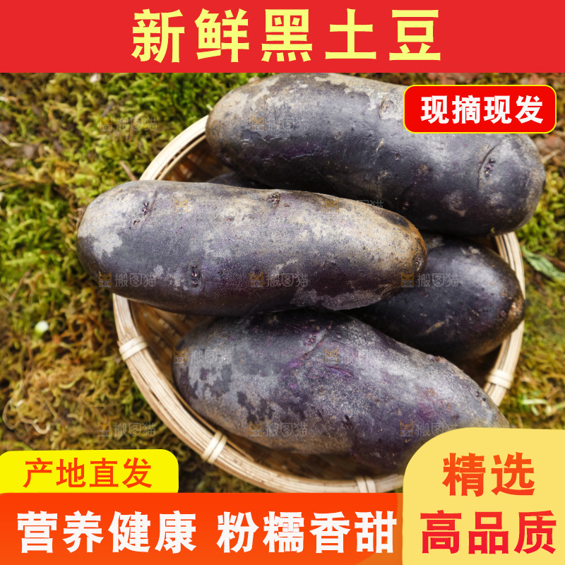 篮子里装青海黑土豆