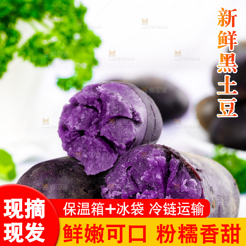 石板上的花青素紫土豆